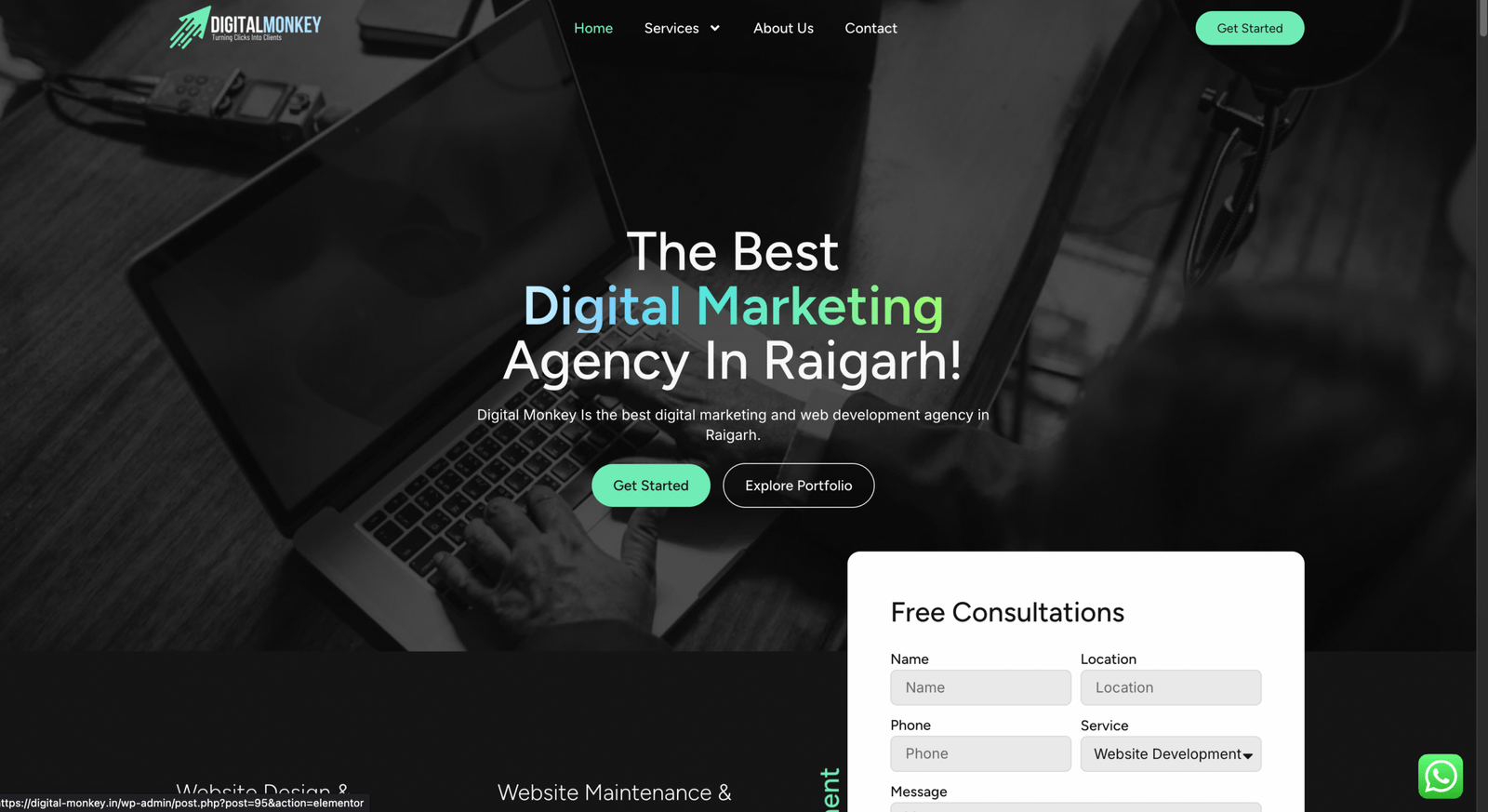 Digital Monkey - Digital Marketing Agency Raigarh